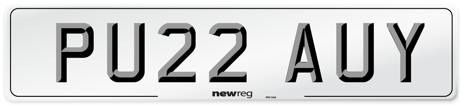 PU22 AUY Number Plate from New Reg